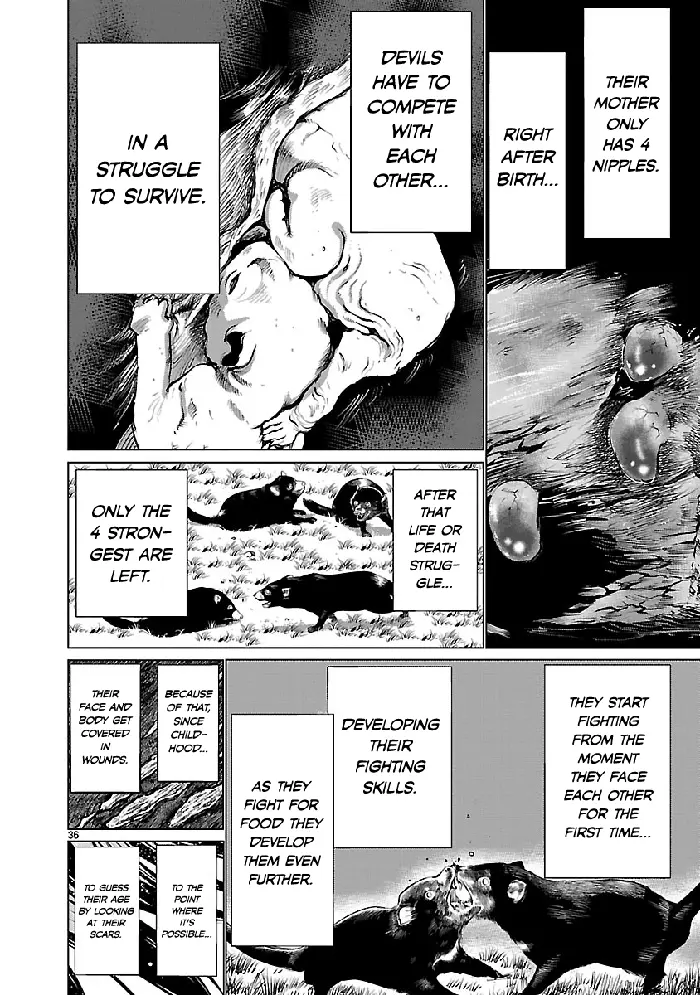 Killing Bites Chapter 36 image 36_optimized